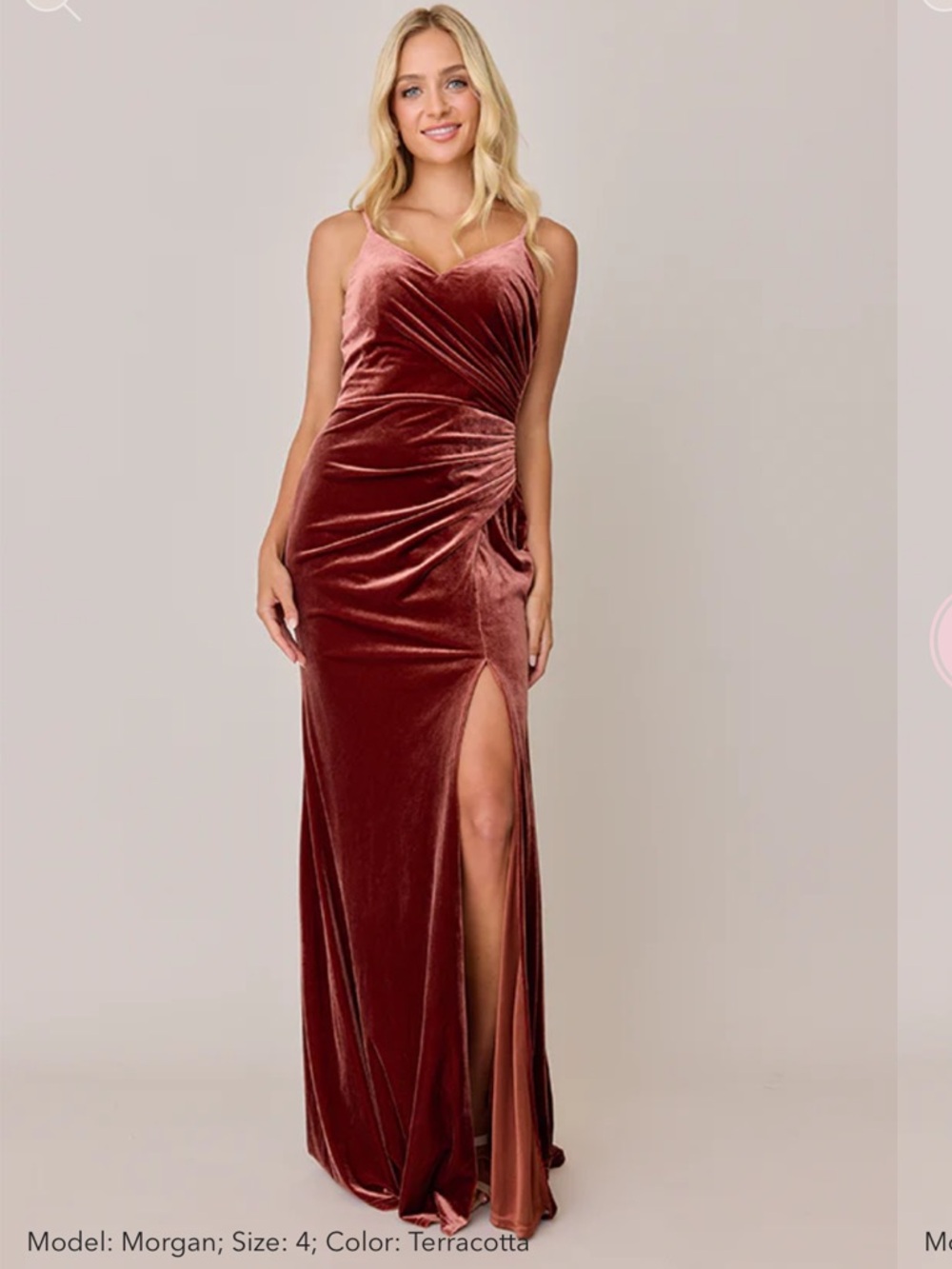 Revelry Rory Velvet Dress in Terracotta